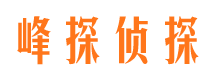 桐柏市婚外情调查